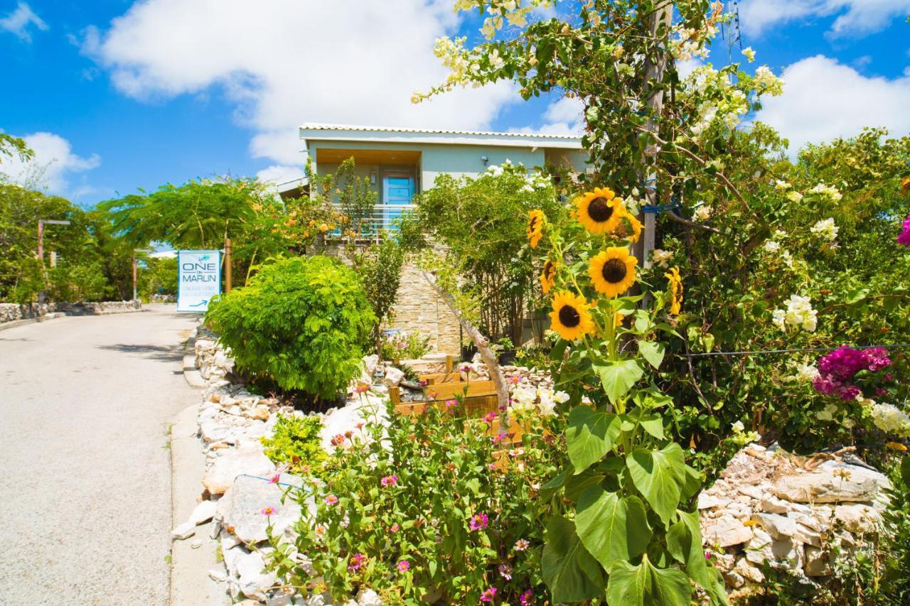 One On Marlin Resort (Adults Only) Turtle Cove Exterior photo